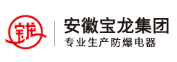 安徽寶龍電器有限公司